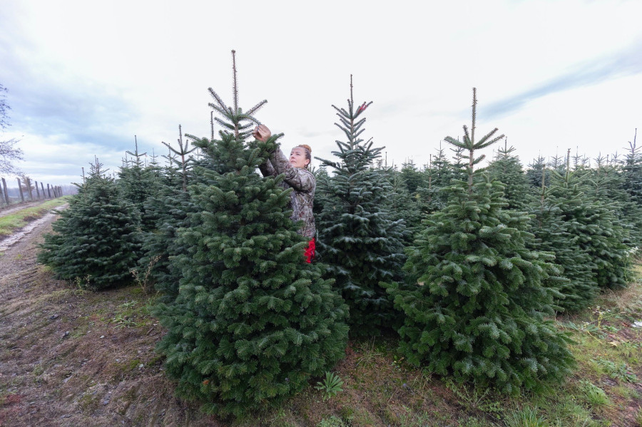 (Illusztráció: MTI)