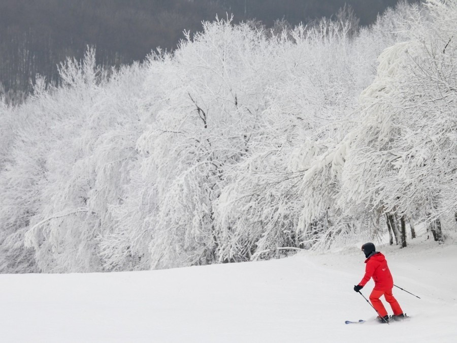 Fotó: MTI/Vasvári Tamás (archív)