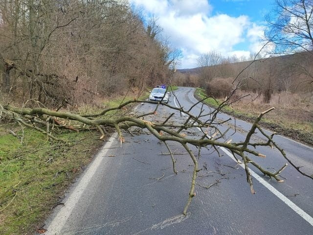 Monostorapátinál a 77-es főúton kellett eltakarítani a torlaszt