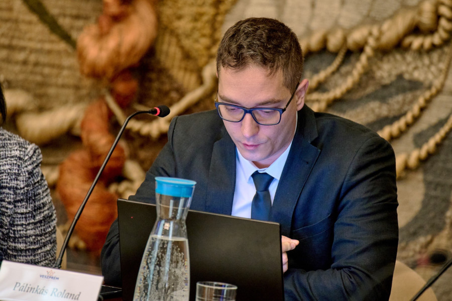 Pálinkás Roland (archív)