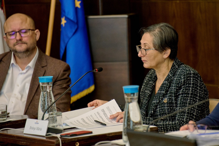 Brányi Mária (archív)