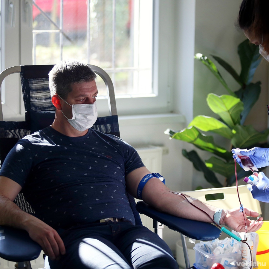 Rajki Tamás, az 1. FC Veszprém ügyvezetője