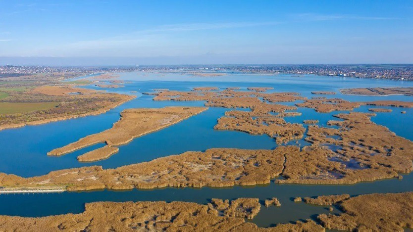 Légi felvétel a nádasról Forrás: canva