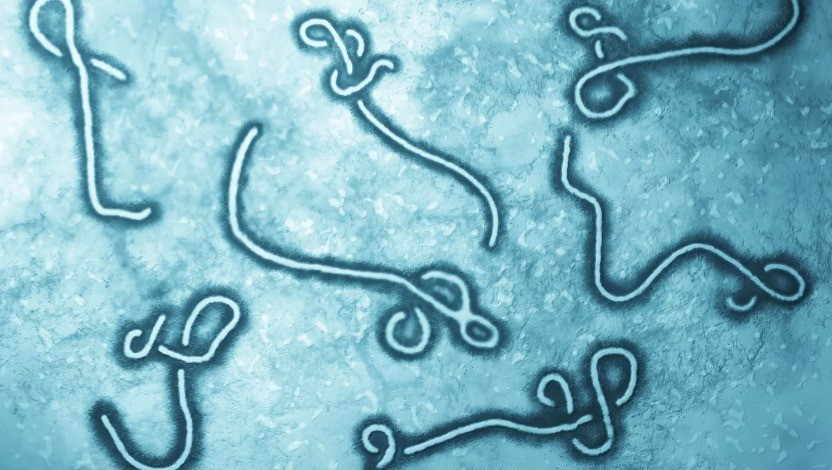 Ebola vírus