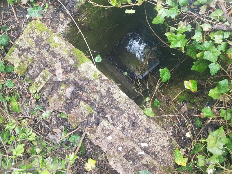 Ebből az aknából mentették ki a szerencsétlenül járt állatot (fotó: rendőrség)