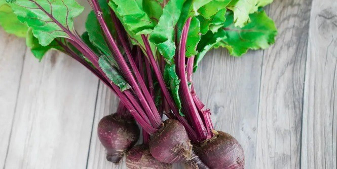 A cékla zöldje is fogyasztható.