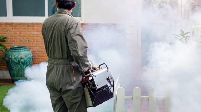 A ködös szúnyogirtás a többi állatra is veszélyes.