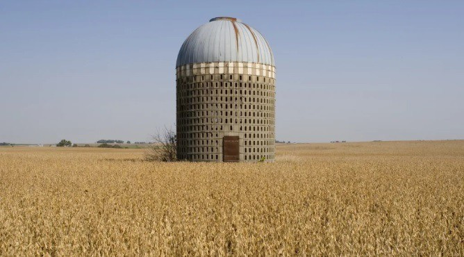 Szántóföldek hódítják meg az élőhelyeket.