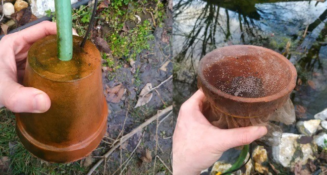 A virágcserépbe rejtett kis akváriumi szivattyú nem szívja be az ebihalakat, ha a cserép száját szúnyoghálóval vagy nejlonharisnyával lefedjük.