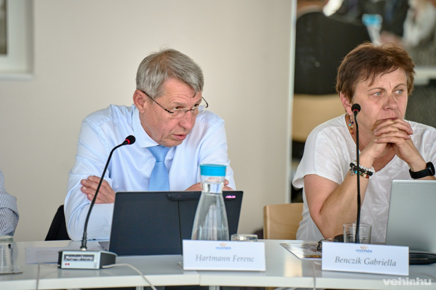 Hartmann Ferenc és Benczik Gabriella