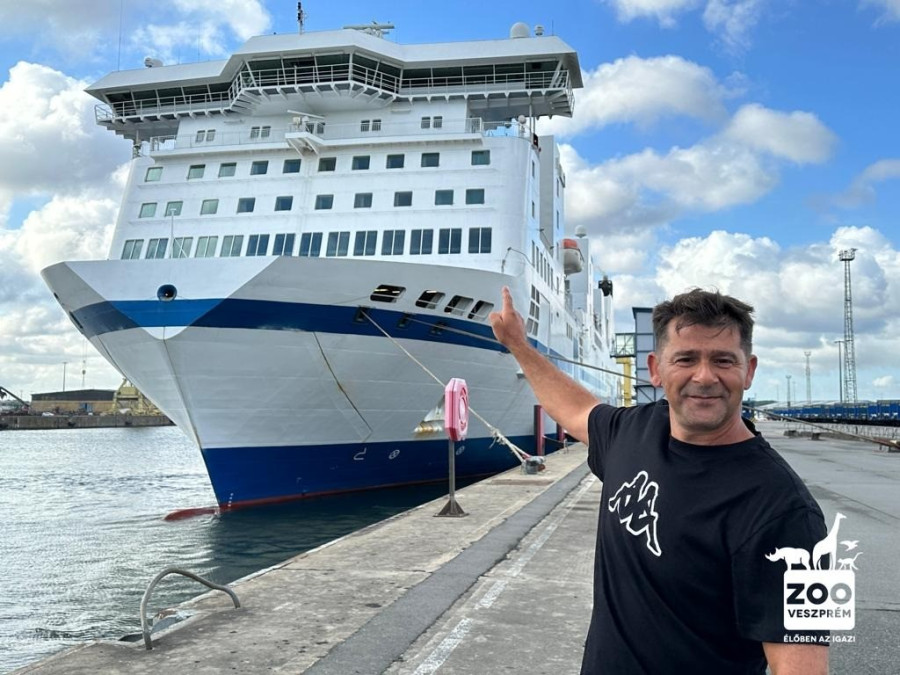 Ezzel a komppal keltek át a tengeren