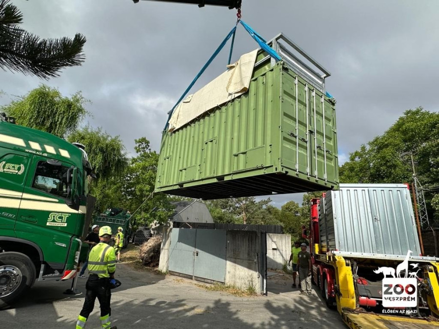 Bully rövid ideig a levegőben is utazott