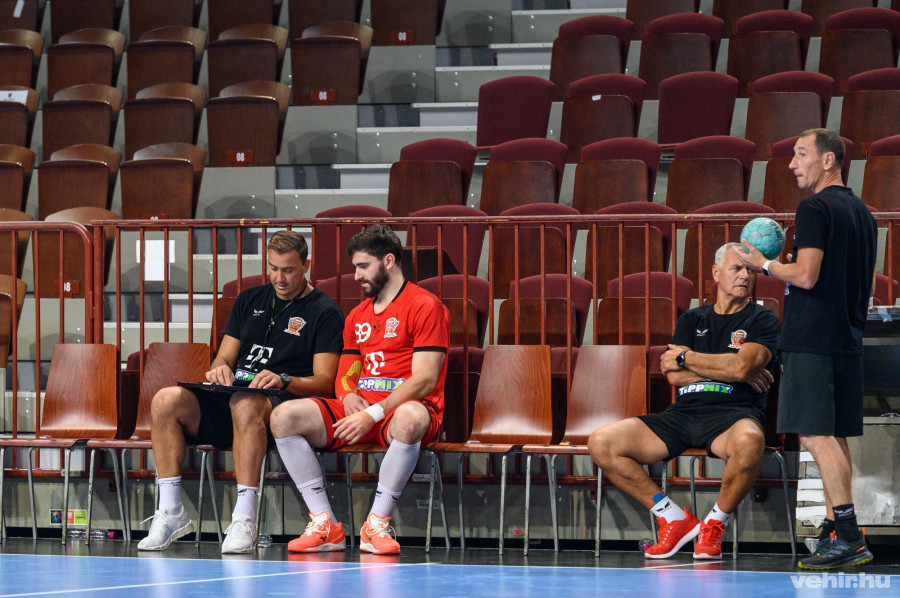 Momir Ilics és Ludovic Fabregas