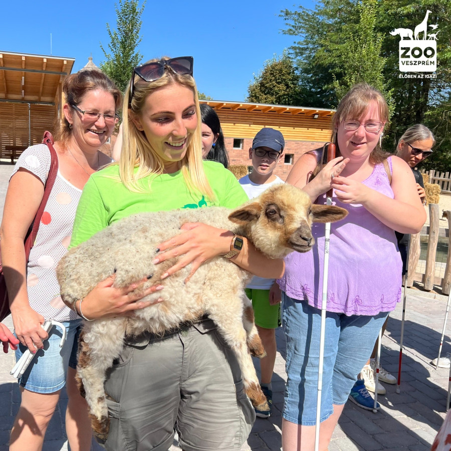 Fotó: Veszprémi Állatkert