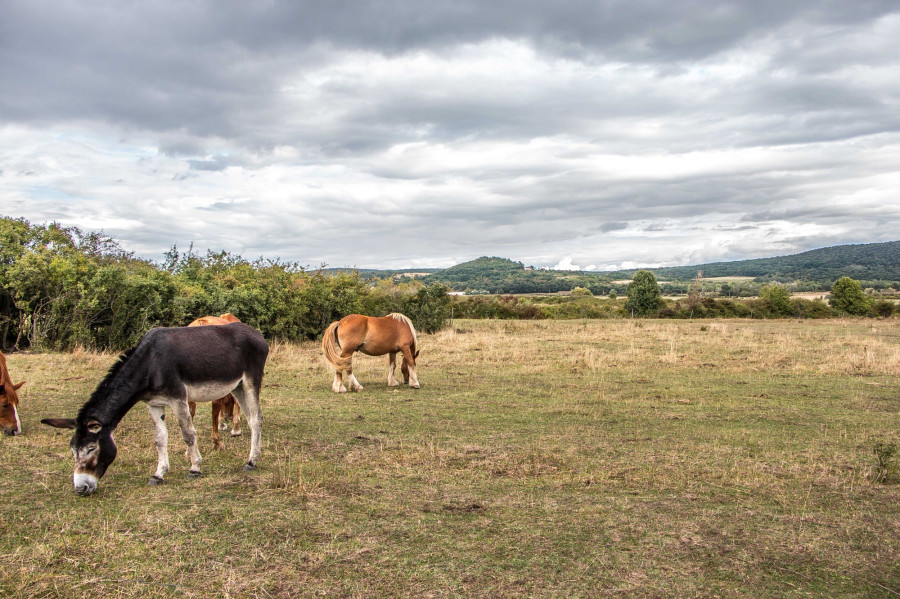 A rezidenciaprogram otthona, a festői Káli-medence