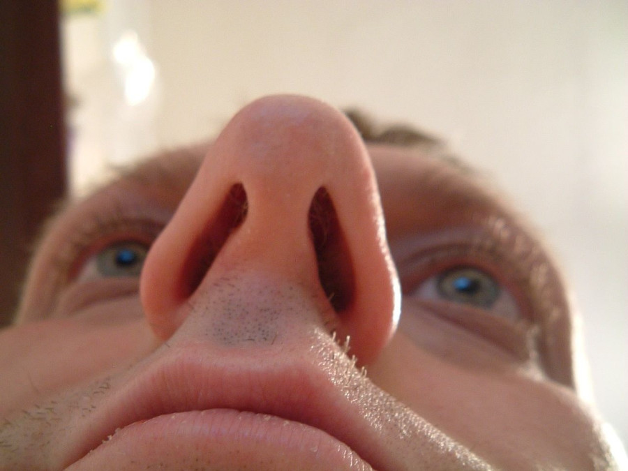 Illusztráció: Alan / Flickr