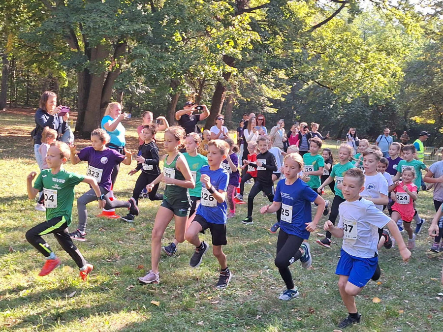 Ismét kiemelkedően teljesítettek a veszprémiek - fotó: SVSE