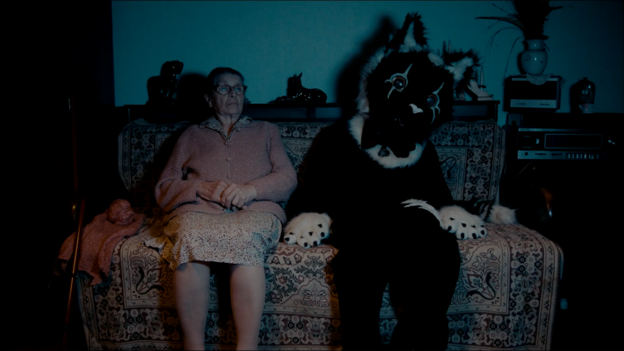 Schnabel Annabella - Anyám macskája