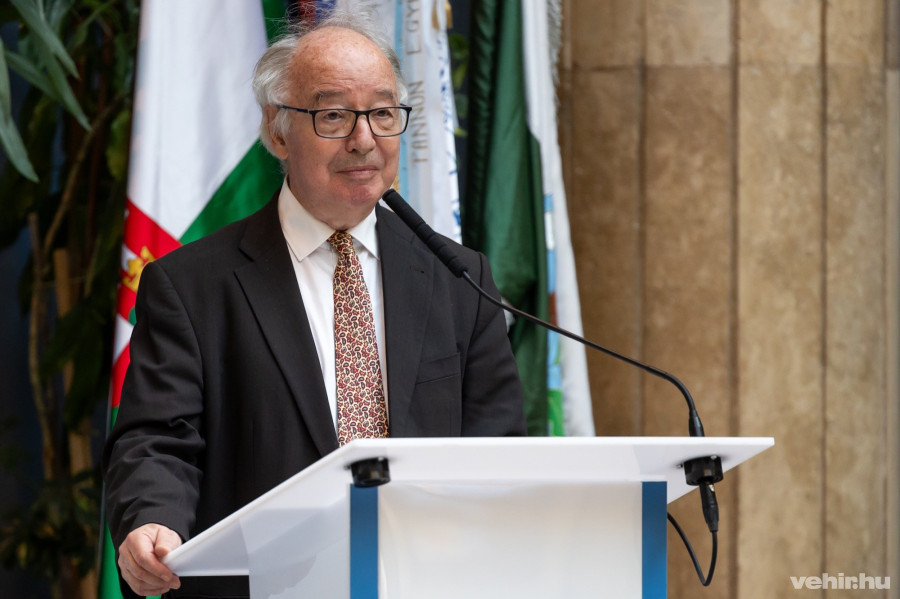 Hudecz Ferenc, MTA alelnök