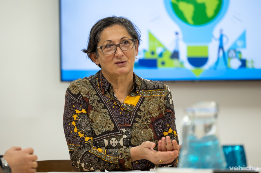 Brányi Mária alpolgármester