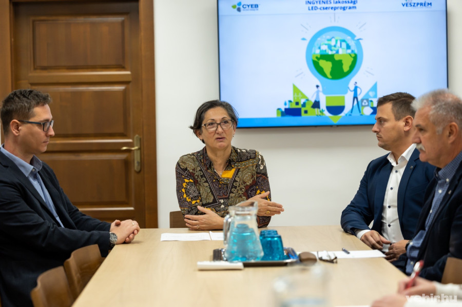 Pálinkás Roland, Brányi Mária, Takács Zoltán, Horváth Zoltán