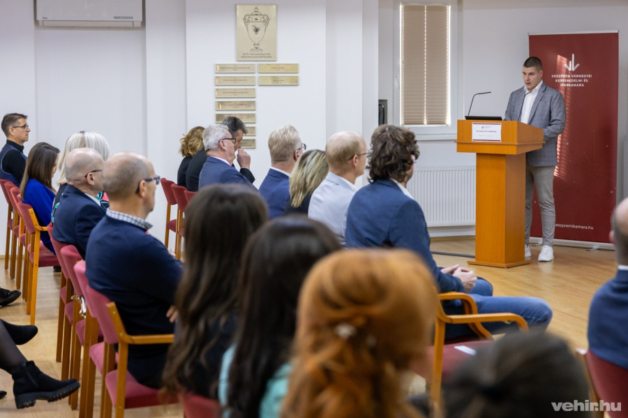 Hegedűs Péter, mesterember