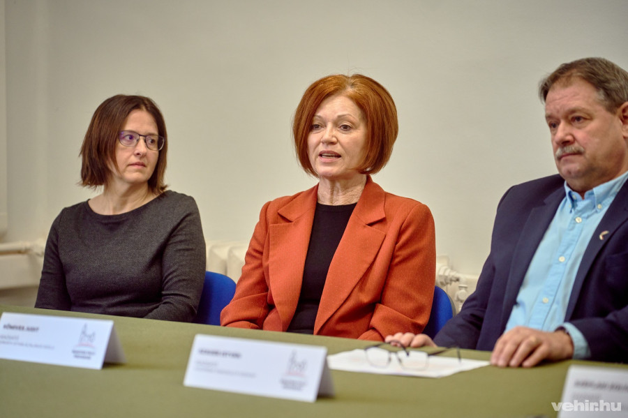 Ferencz Istvánné, Kőmíves Judit és Szauer István