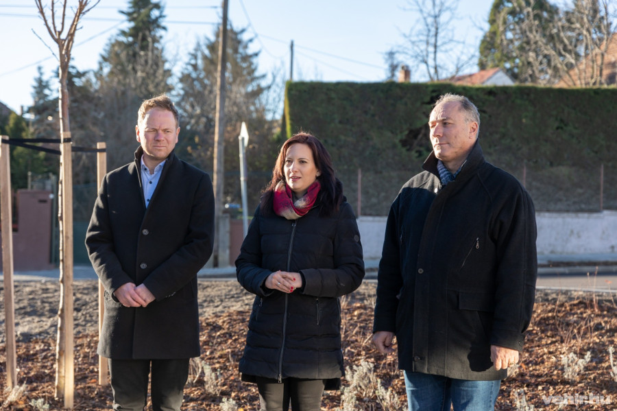 Csík Richárd, Hegedűs Barbara és Bázsa Botond