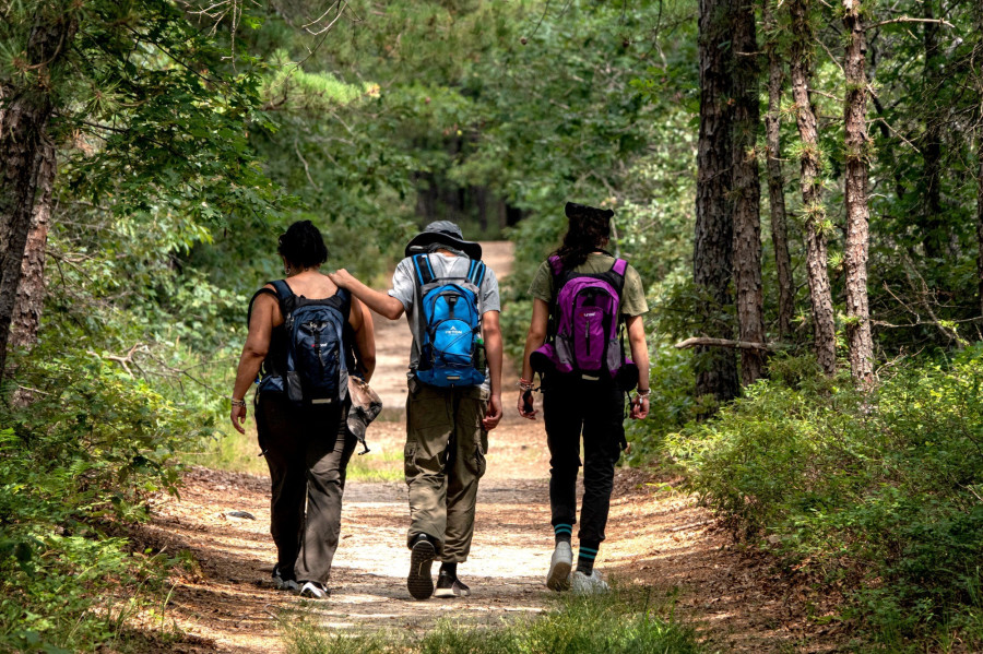 Fotó:  MICHAEL CHIARA on Unsplash