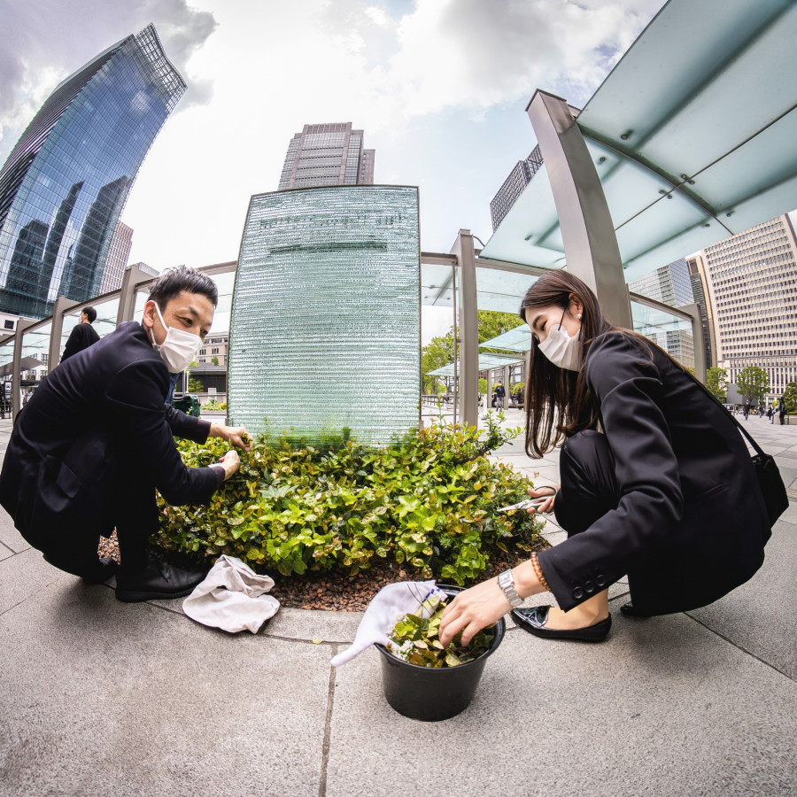 Zen az ebédszünetben