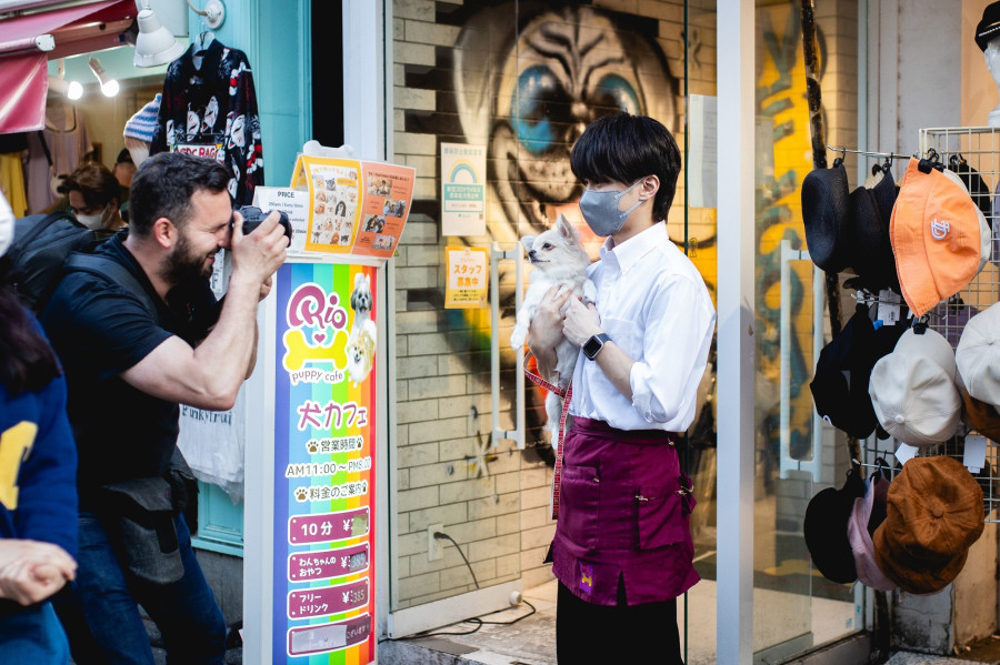 Bálint akció közben