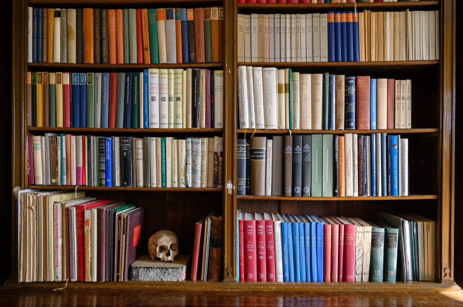 Fotó: MTI / Vasvári Tamás