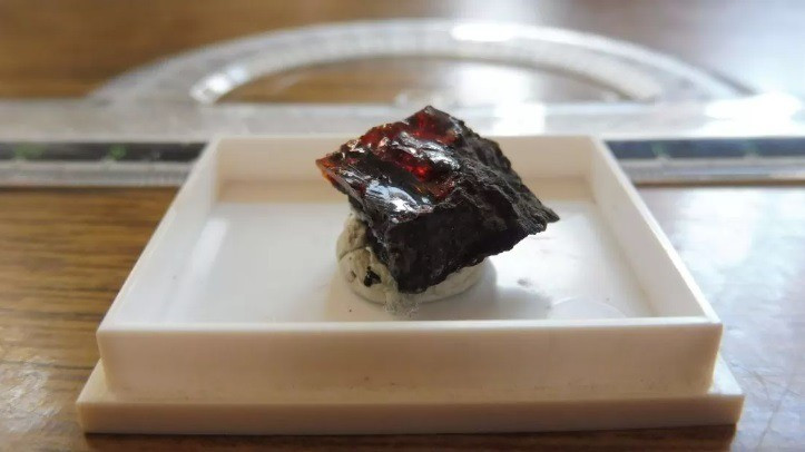 Az álskorpió-zárványt tartalmazó ajkaitdarab FORRÁS: NOVÁK JÁNOS