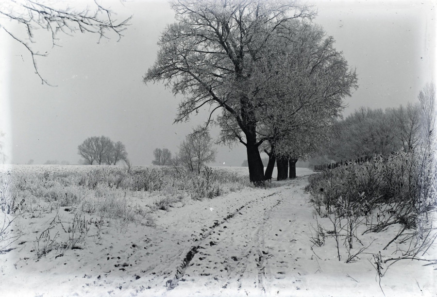 Forrás: Fortepan (Tóth Árpád)