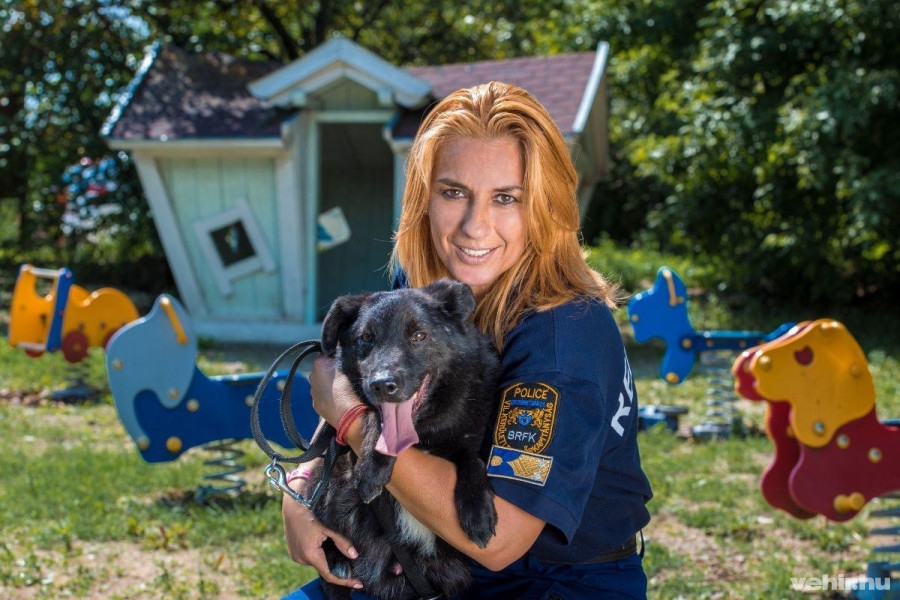 Kép: https://magyarallatvedelem.hu