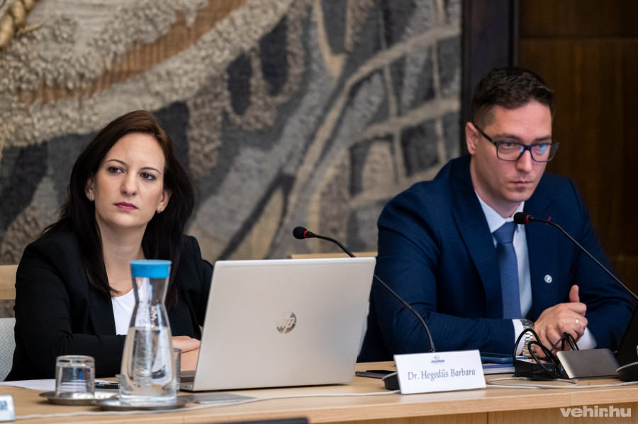 Hegedűs Barbara, Pálinkás Roland