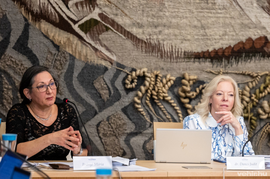 Brányi Mária, Dancs Judit