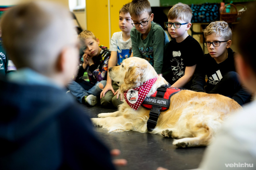 Fotó: Kovács Bálint