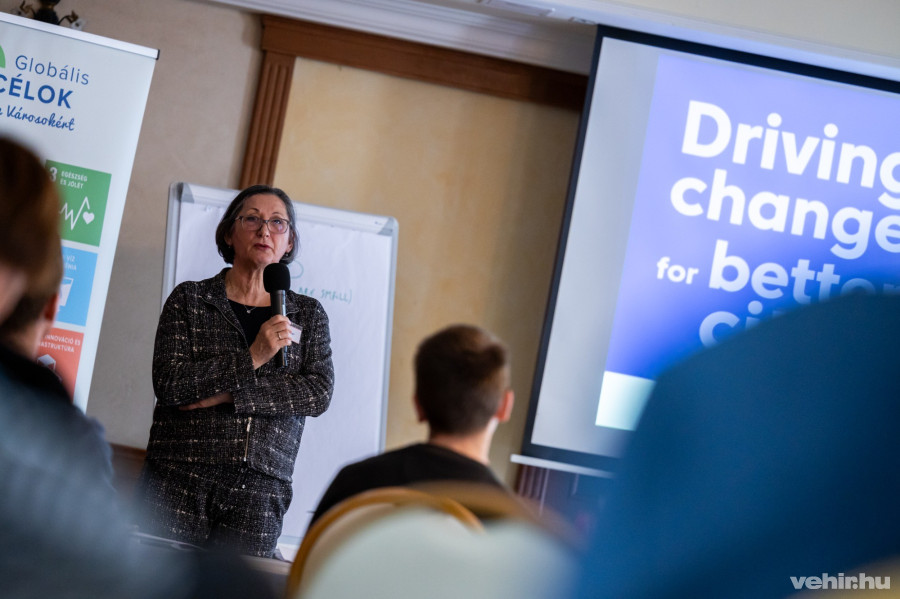 Brányi Mária, alpolgármester