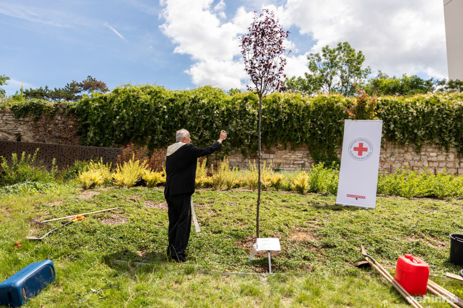 Nagy Károly, kanonok