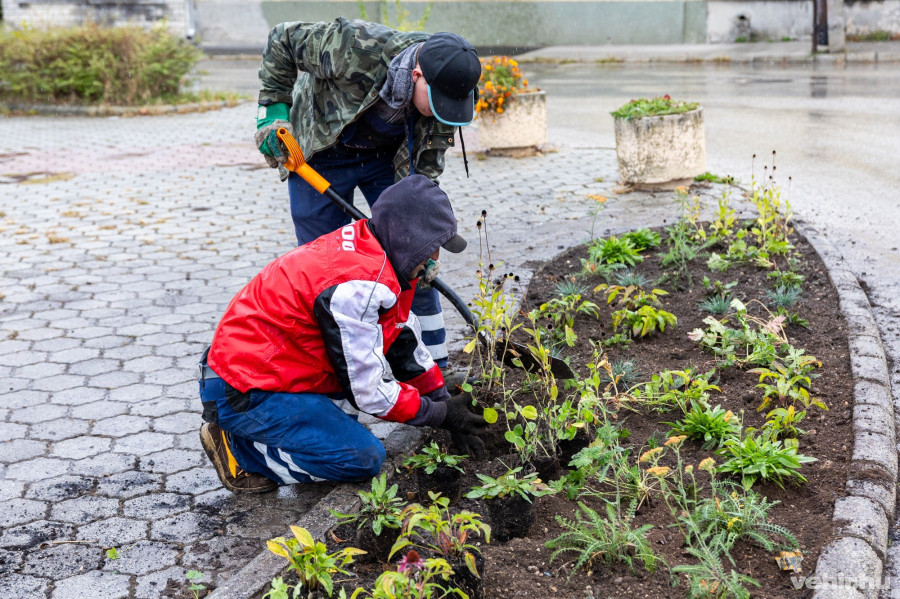 A VKSZ Zrt. kertészei ültették el a virágokat
