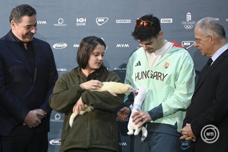 Gyulay Zsolt, a Magyar Olimpiai Bizottság (MOB) elnöke (b), Balla Eszter állatgondozó (b2), kezében Olivér, egy albínó vadászgörény, a magyar versenyzők kabalaállata, mellette Burján Csaba olimpiai bajnok rövidpályás gyorskorcsolyázó (j2) a milánó-cortinai téli olimpiai játékok kabalafigurájával és Kósa Lajos, a Magyar Országos Korcsolyázó Szövetség elnöke (j) a játékok előtt egy évvel tartott sajtótájékoztató kezdete előtt a Fővárosi Állat- és Növénykertben 2025. február 6-án. MTI/Koszticsák Szilárd