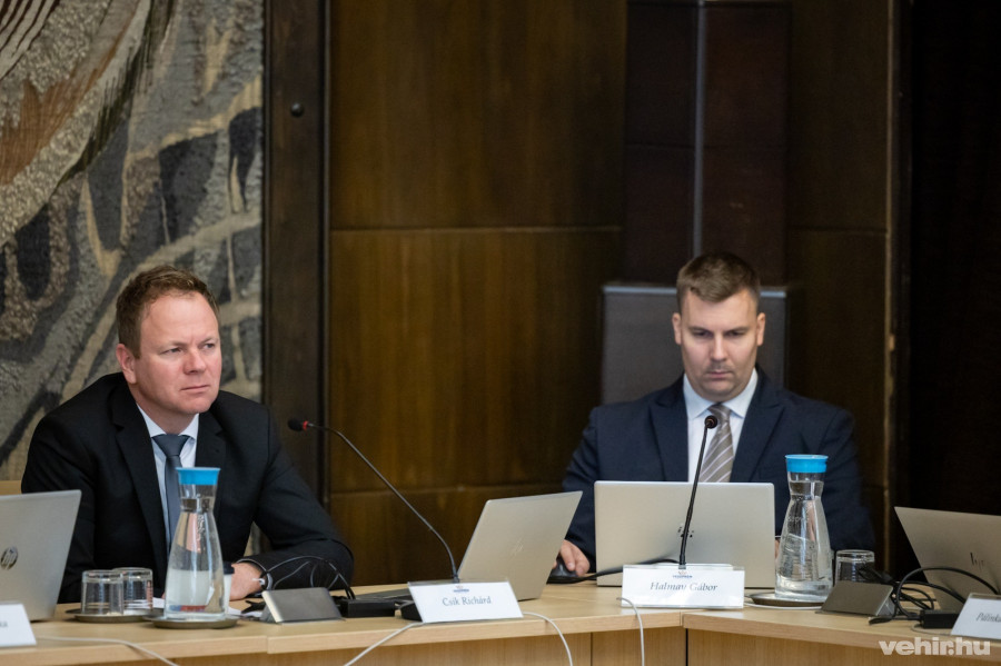 Csik Richárd, Halmay Gábor