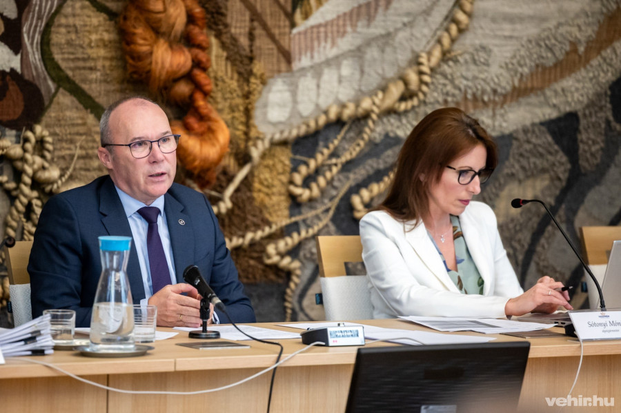 Porga Gyula, Sótonyi Mónika