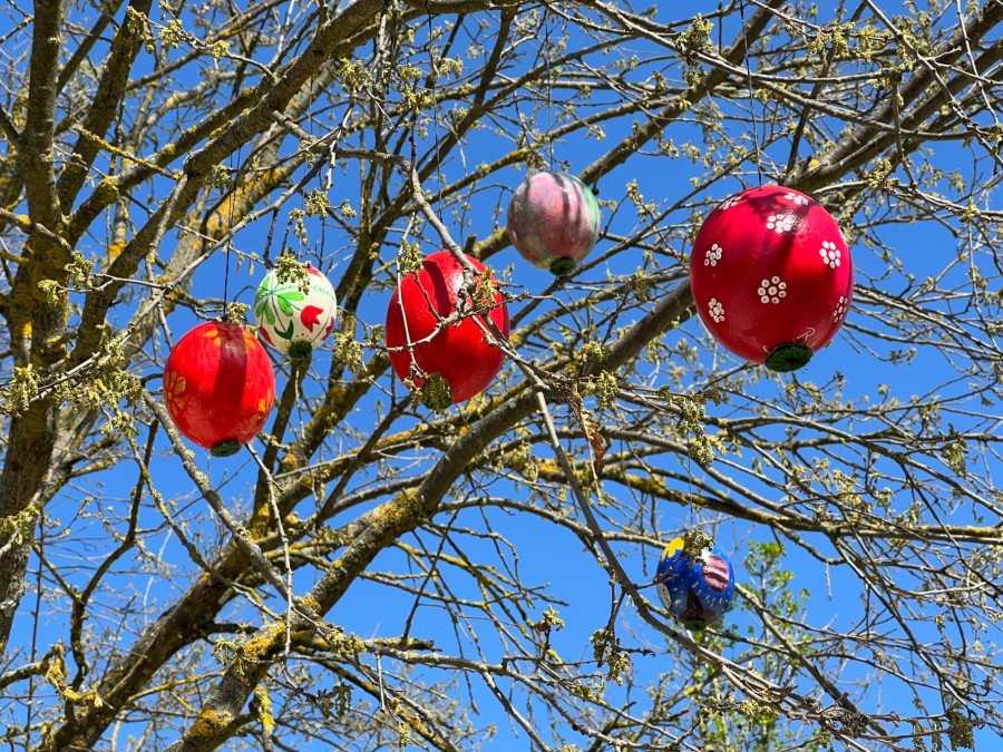 Fotó: Veszprémi Állatkert