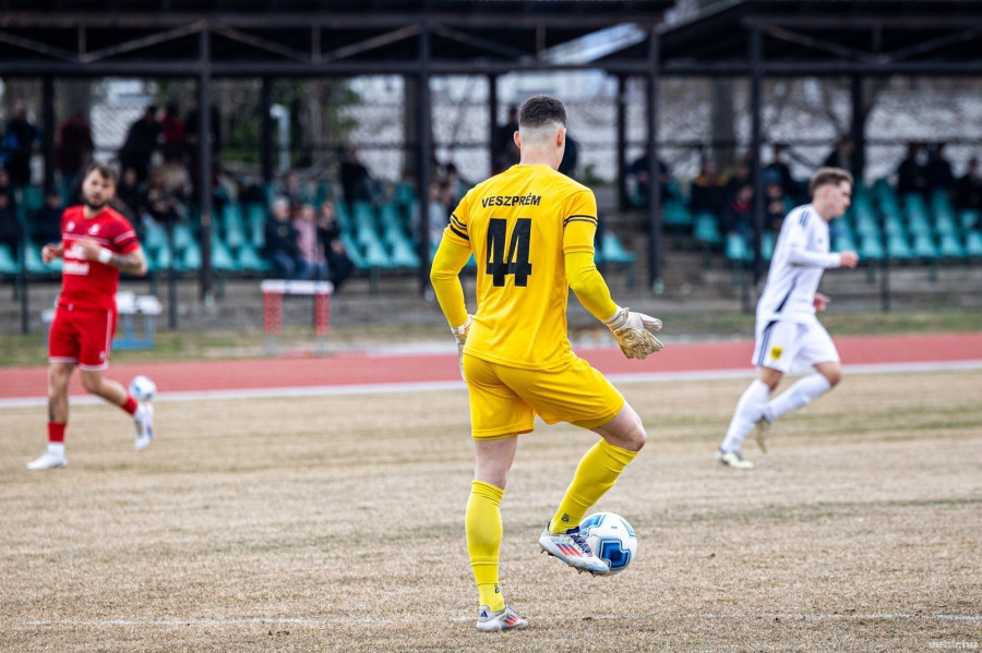 Magabiztosan nyert a Veszprém (archív fénykép)