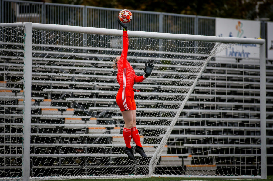 Illusztráció: My Profit Tutor / Unsplash