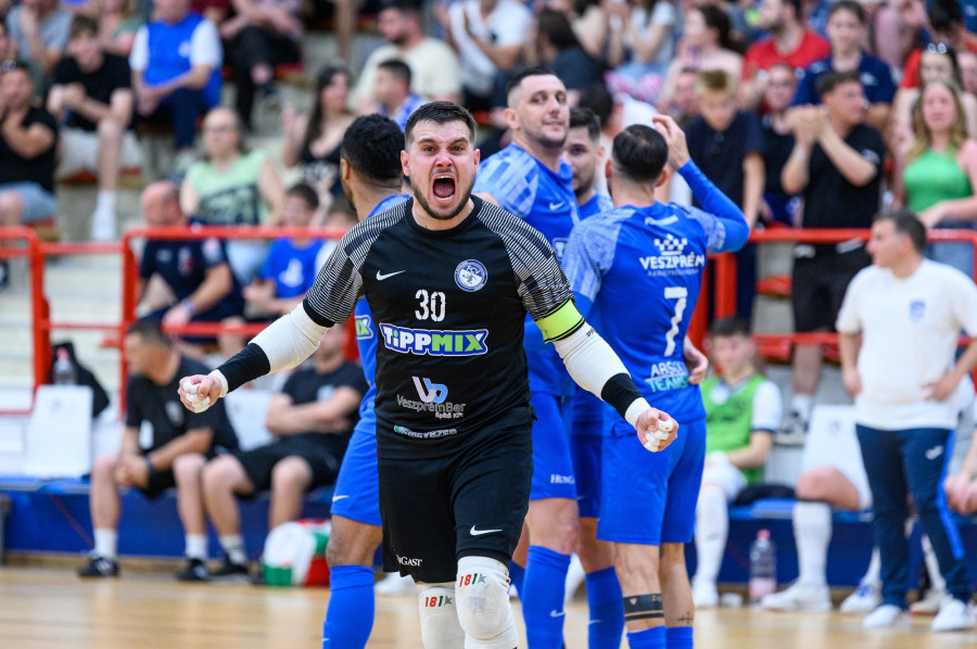 Spandler válogatott formában védett (archív fénykép)