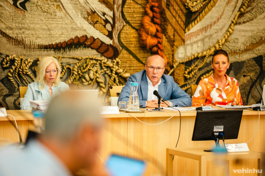 dr. Dancs Judit, Porga Gyula, Sótonyi Mónika