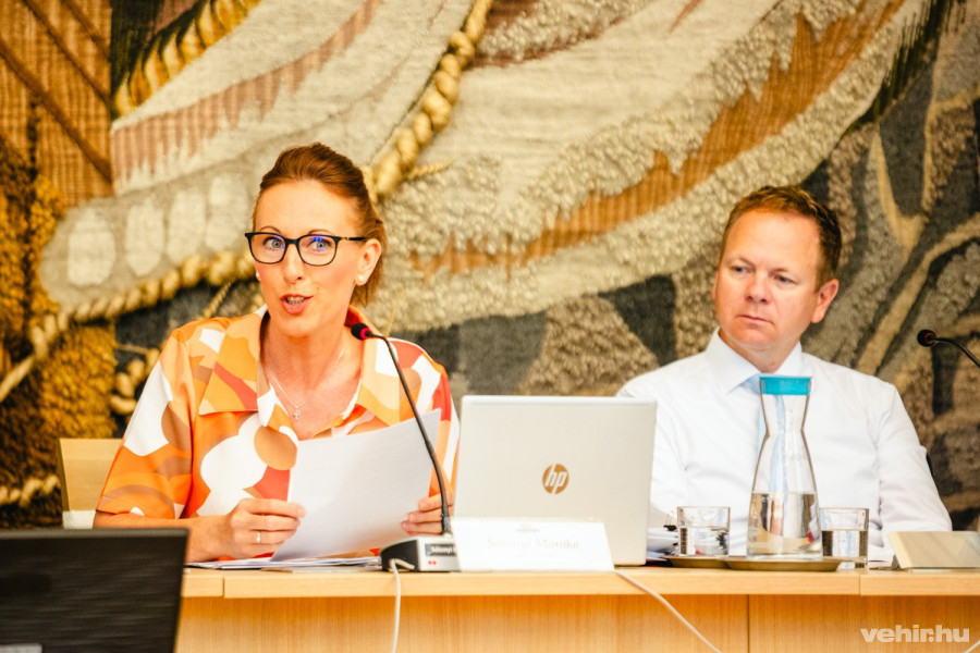 Sótonyi Mónika, Csik Richárd